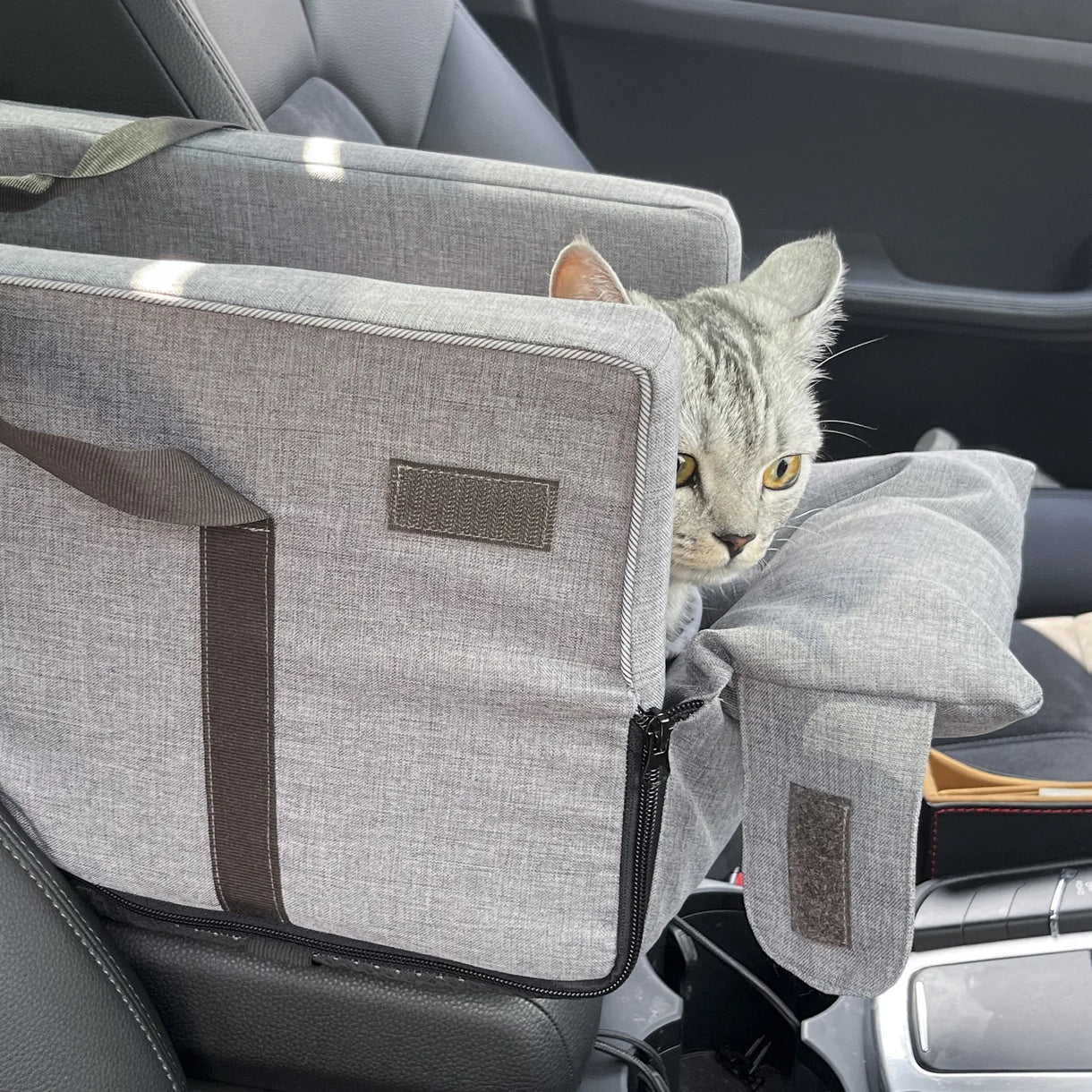 PetNomad™ - Pet Travel Bag