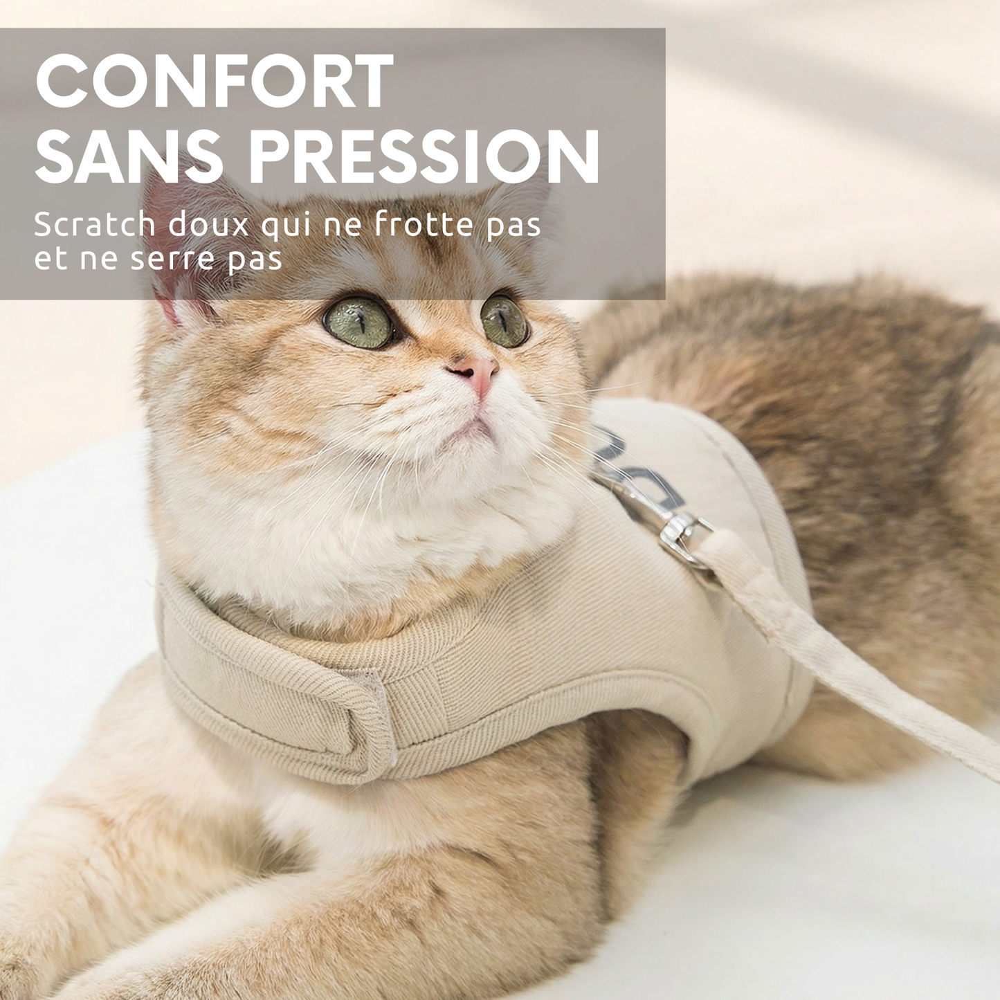 PetNomad™ - Cat Harness & Leash